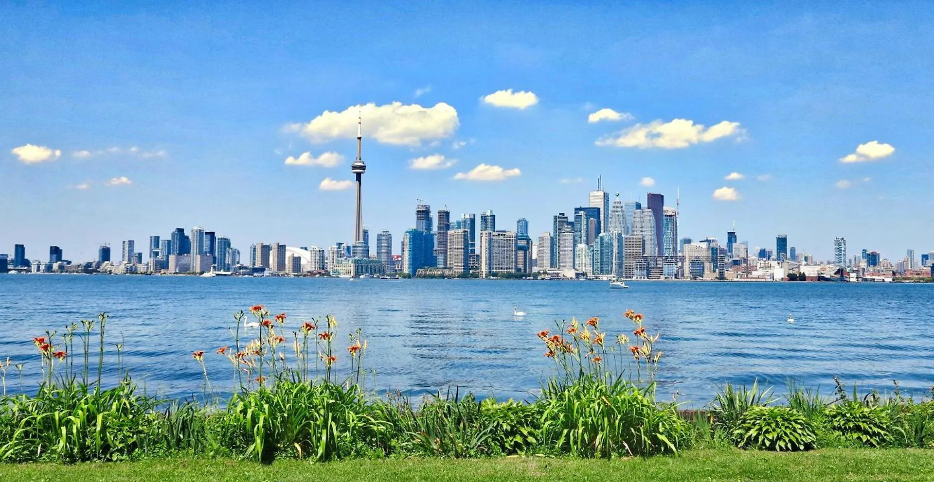 Luxury Cn Tower Suites - Save On Monthly Stays تورونتو